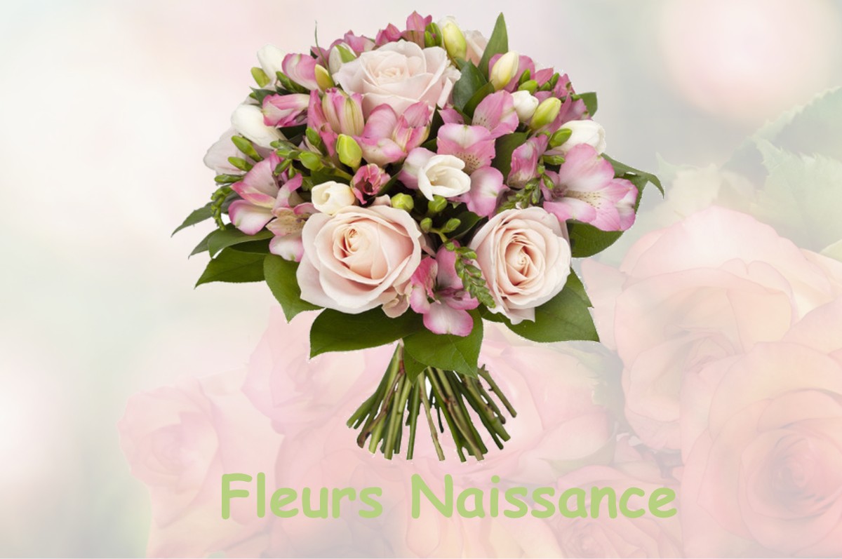 fleurs naissance YEVRE-LA-VILLE